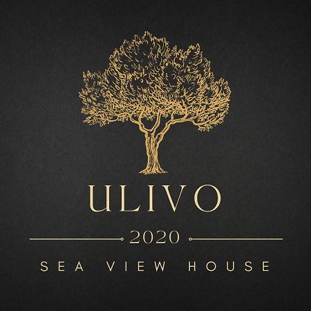 Вилла Ulivo Sea View House Kokkini Hani Экстерьер фото
